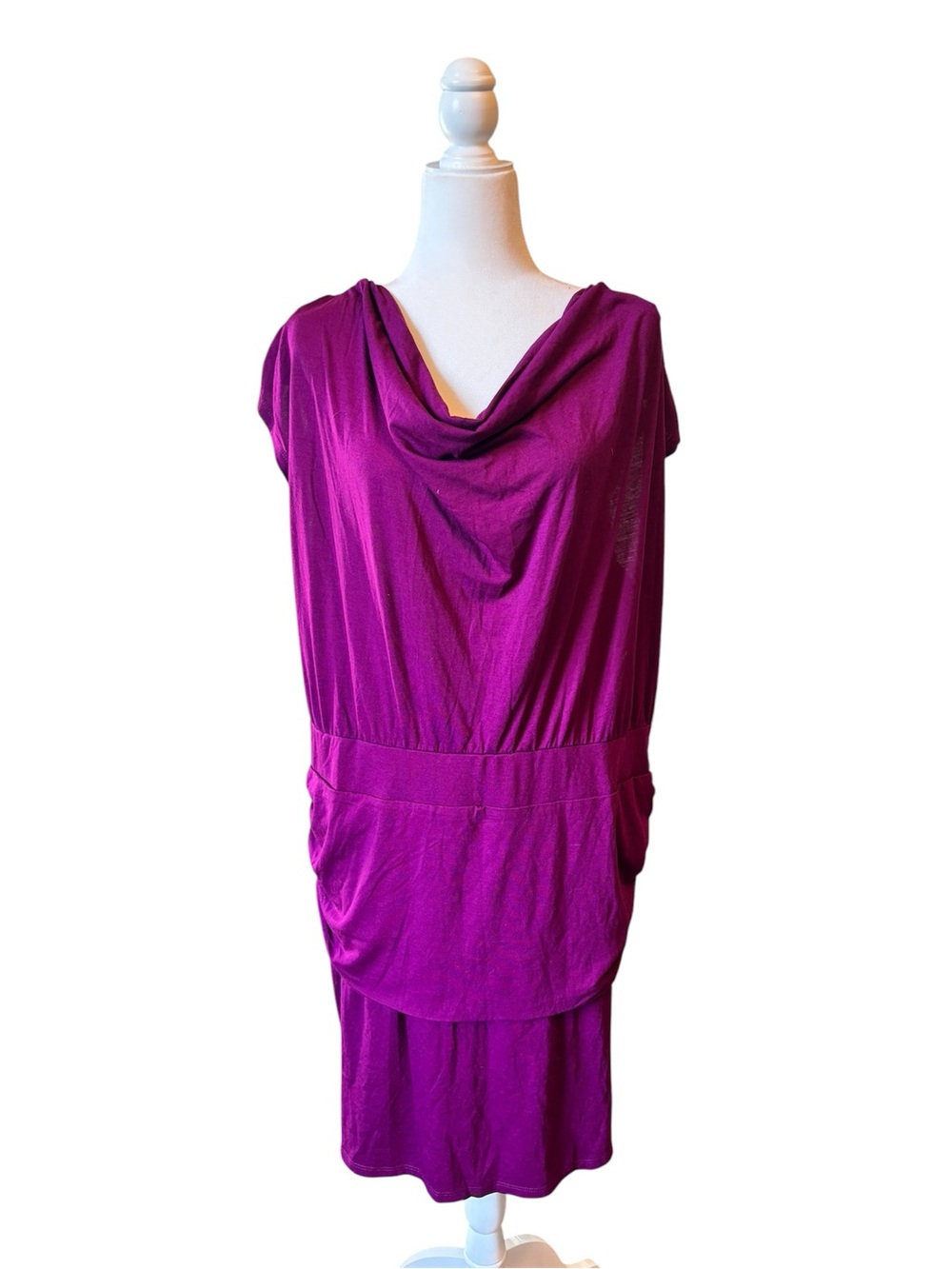 NWT DEREK HEART PLUS SIZE 3X PLUM PURPLE COWL NECK RUCHED DRESS